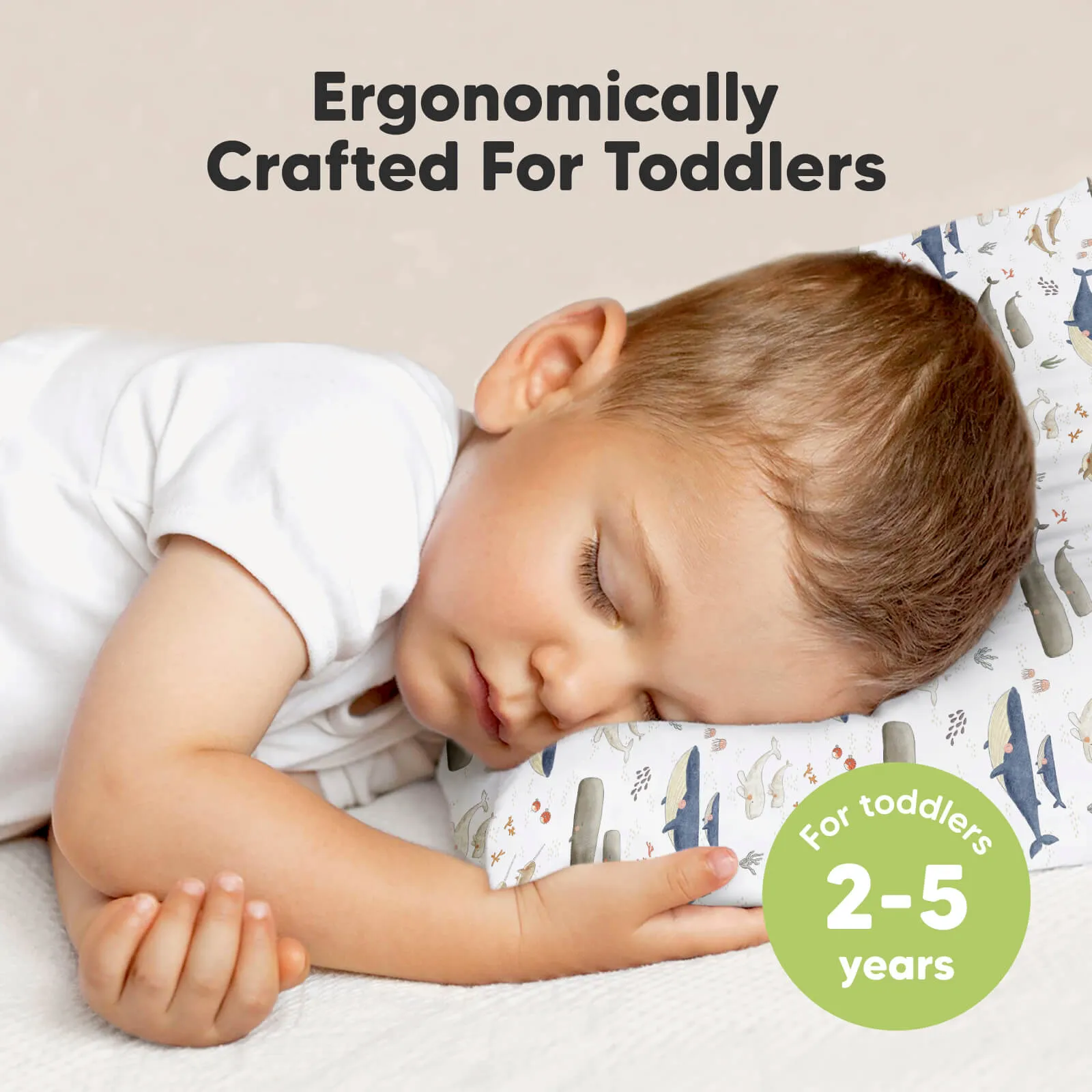 Toddler Pillow with Pillowcase (Marine)